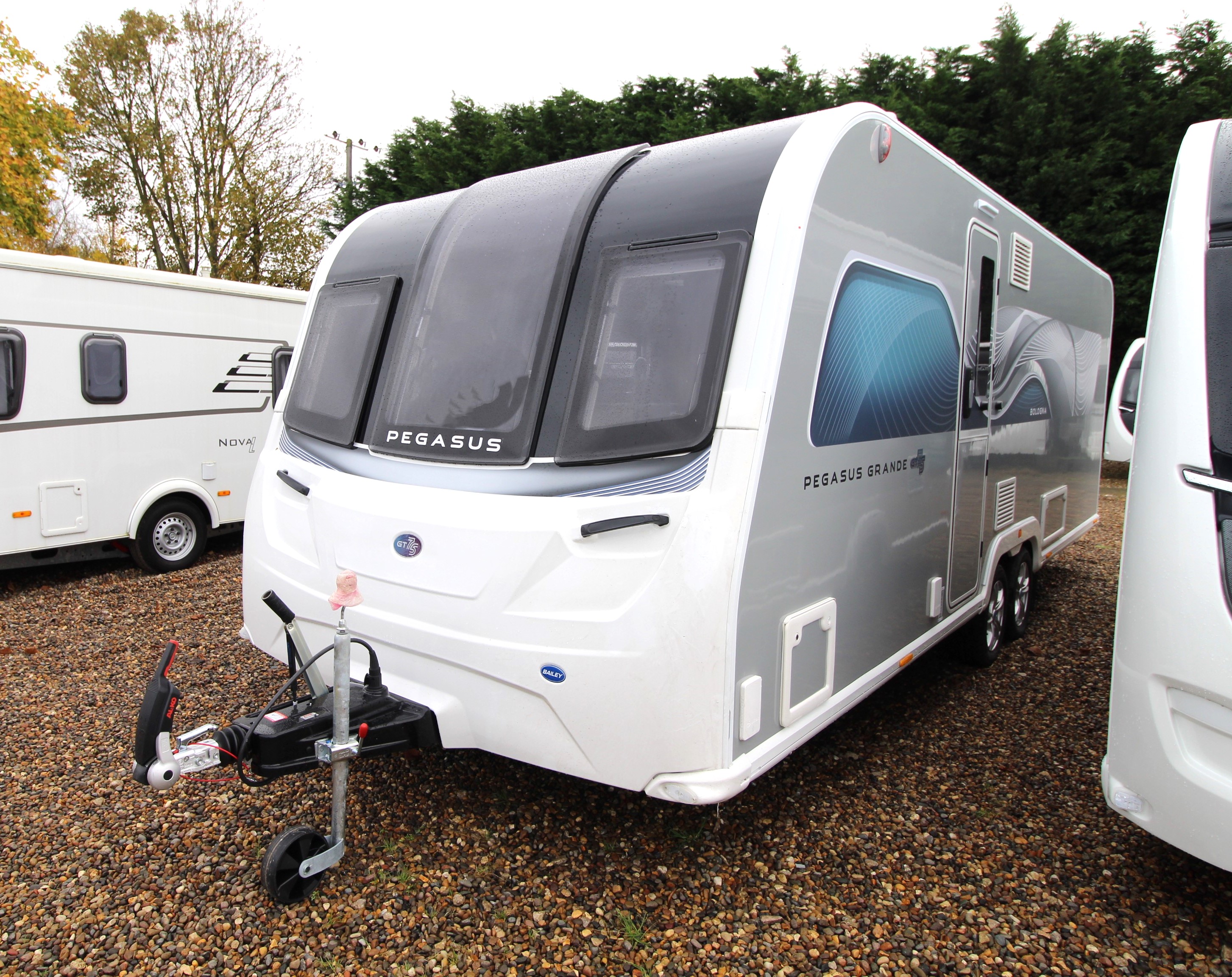 Bailey Pegasus