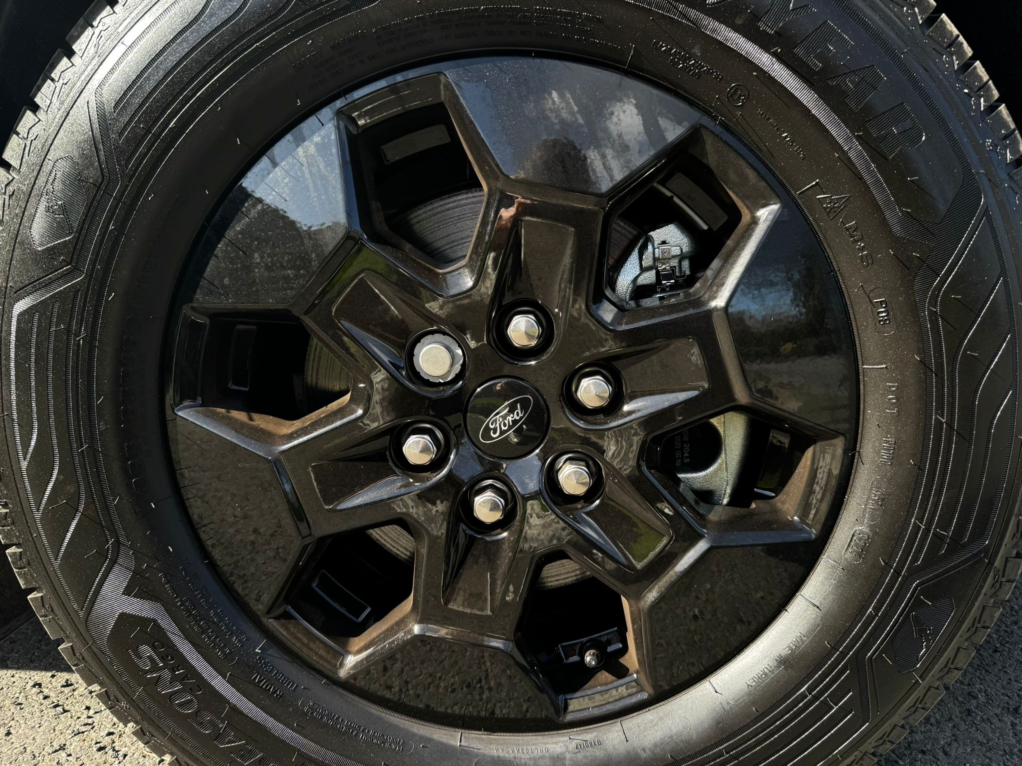 Detail Shot